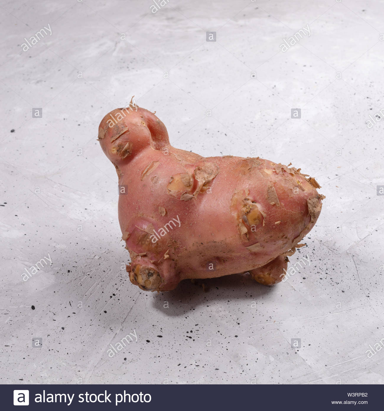 One Ugly Strange Shaped Potato On Grey Concrete Background Stock