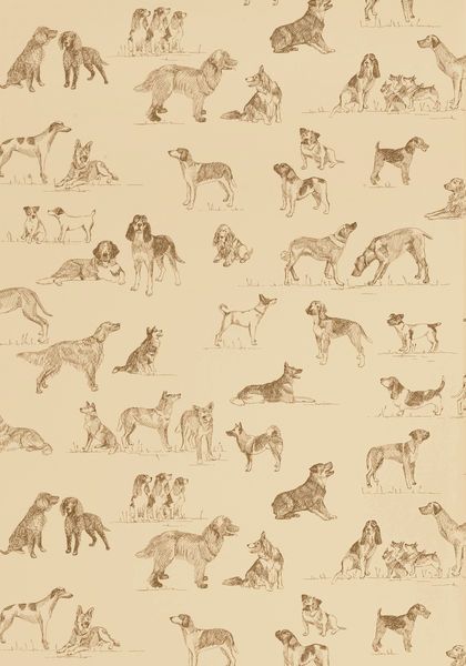 Wallpaper In Camel From The Menswear Resource Collection Thibaut
