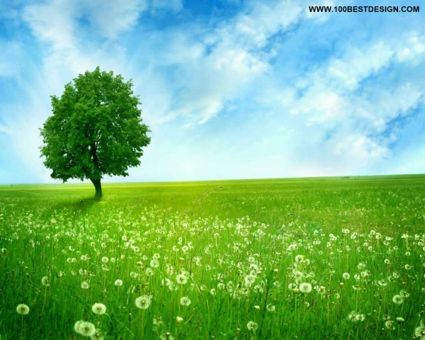 Top Nice Nature Desktop Wallpaper And Background