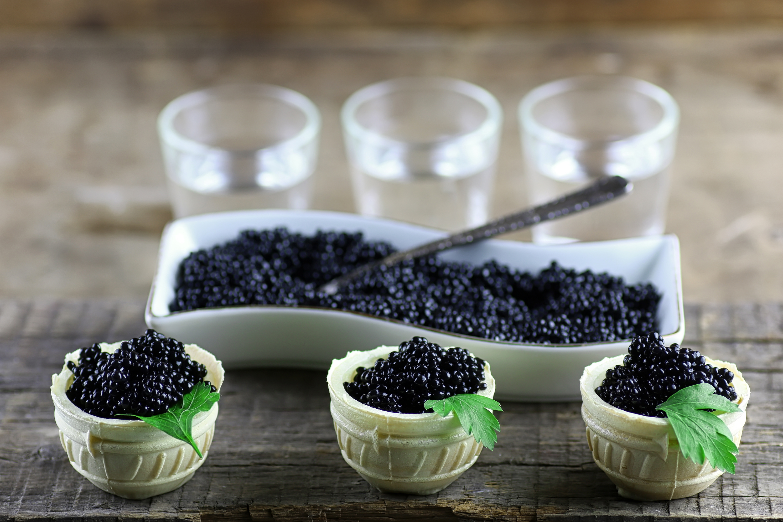 Caviar HD Wallpaper Background Image Id