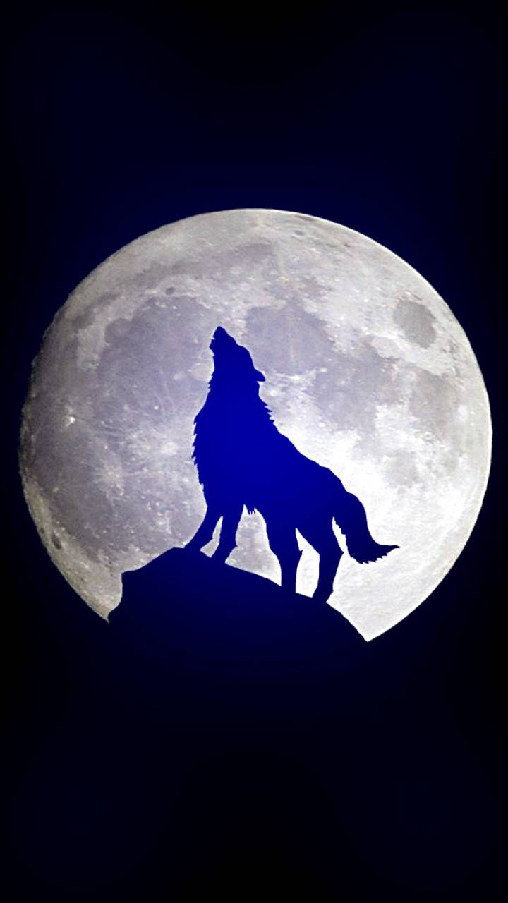 Download wolf moon Wallpaper by dathys   3c   Free on ZEDGE now
