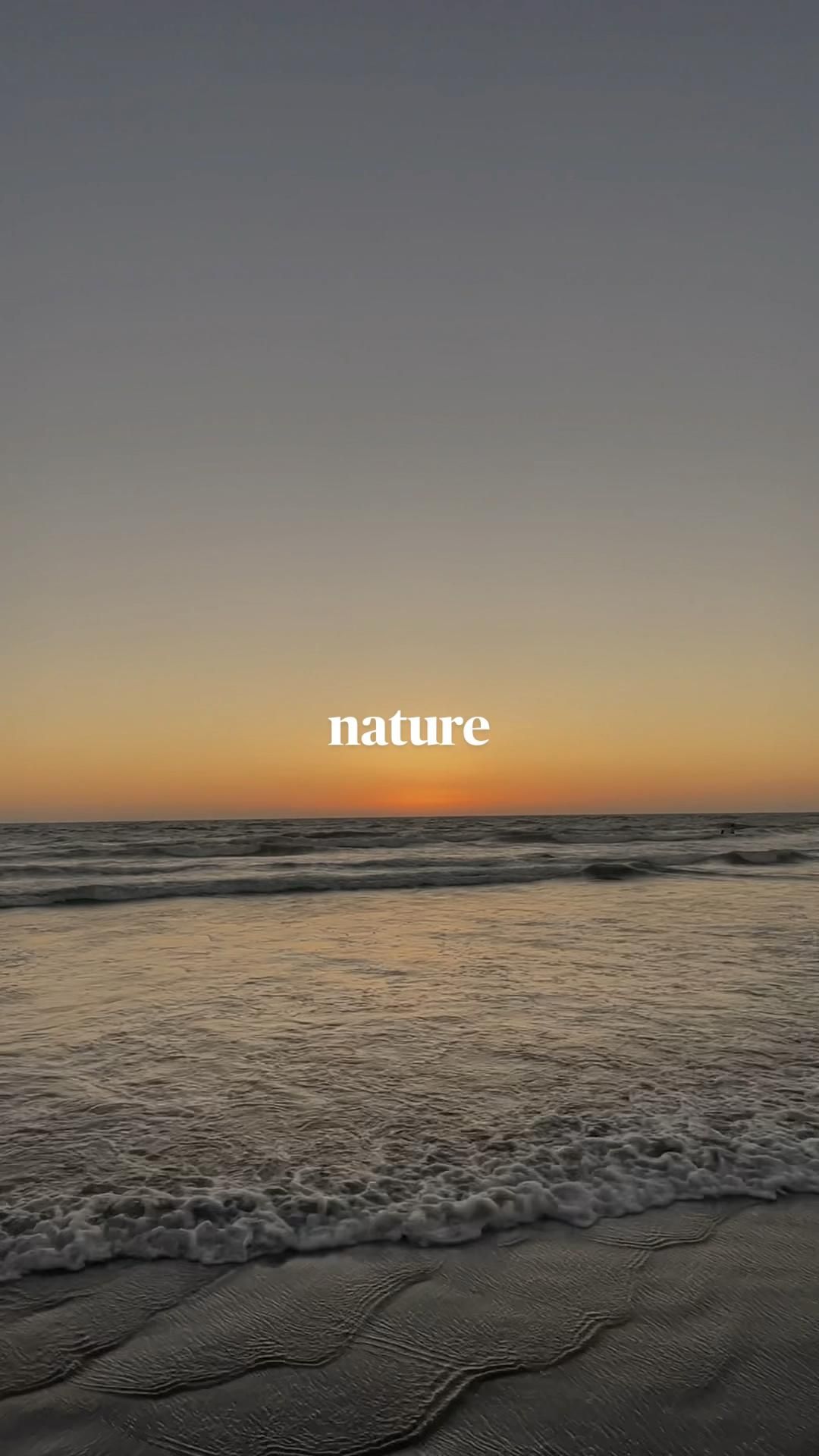 Aesthetic Nature Wallpaper Artofit