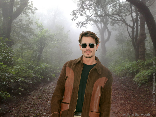 Walk In The Woods Johnny Depp Wallpaper