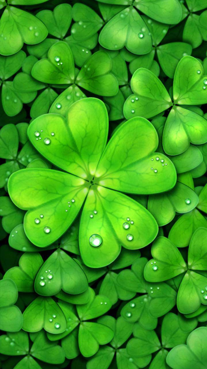 47 Android 4 Leaves Clover Wallpapers On Wallpapersafari