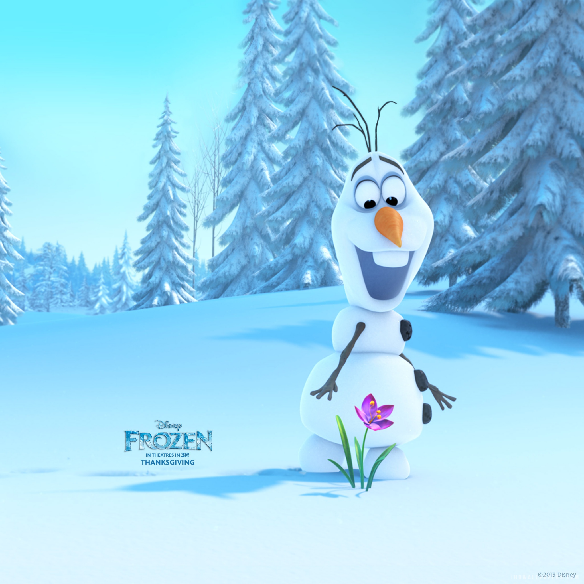 Olaf In Frozen HD Wallpaper IHD