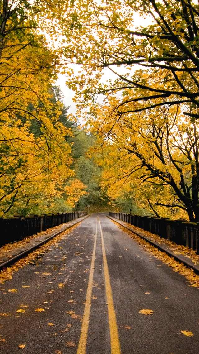 iPhone Wallpaper Autumn Road