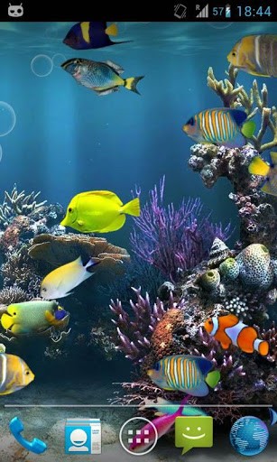 Live Aquarium Wallpaper Fish Tank