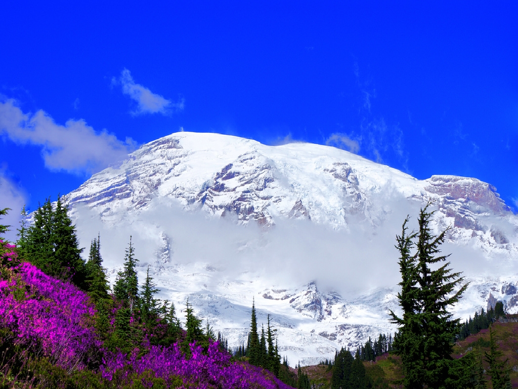 Mount Rainier Wallpaper
