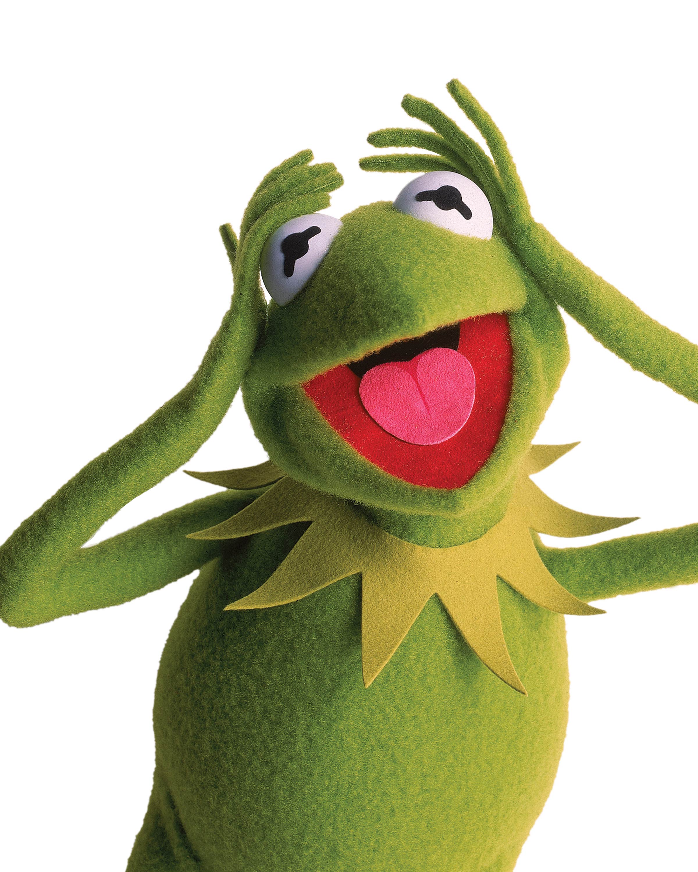 Kermit The Frog From Muppets Movie Wallpaper Click Picture