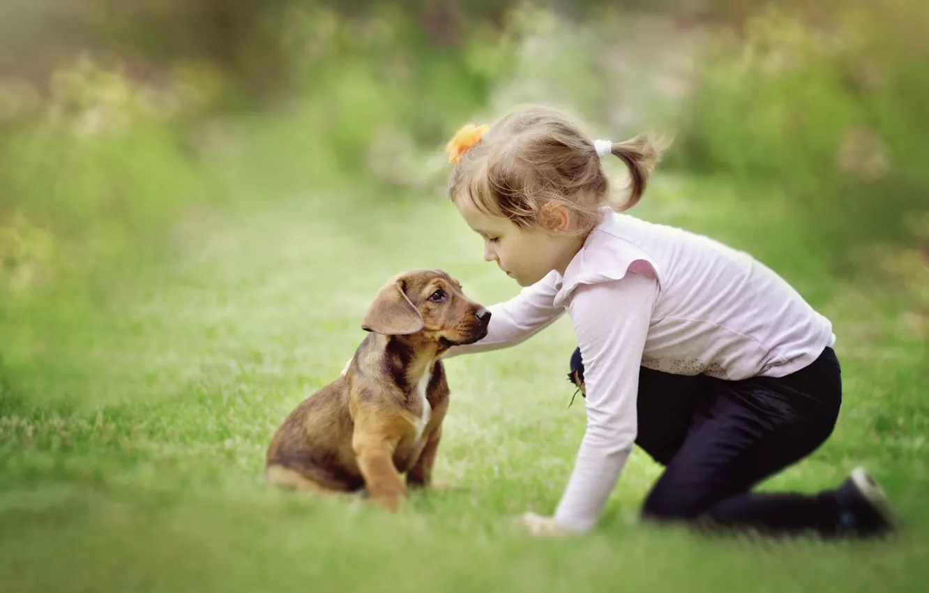 Wallpaper Nature Dog Girl Image For Desktop Section
