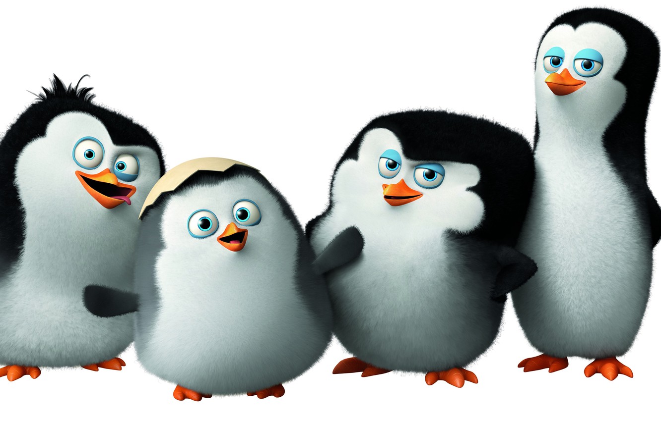 Wallpaper Cartoon Classified Penguins Of Madagascar The