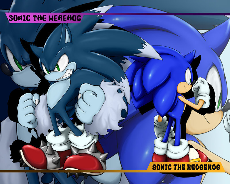 Sonic The Werehog Image