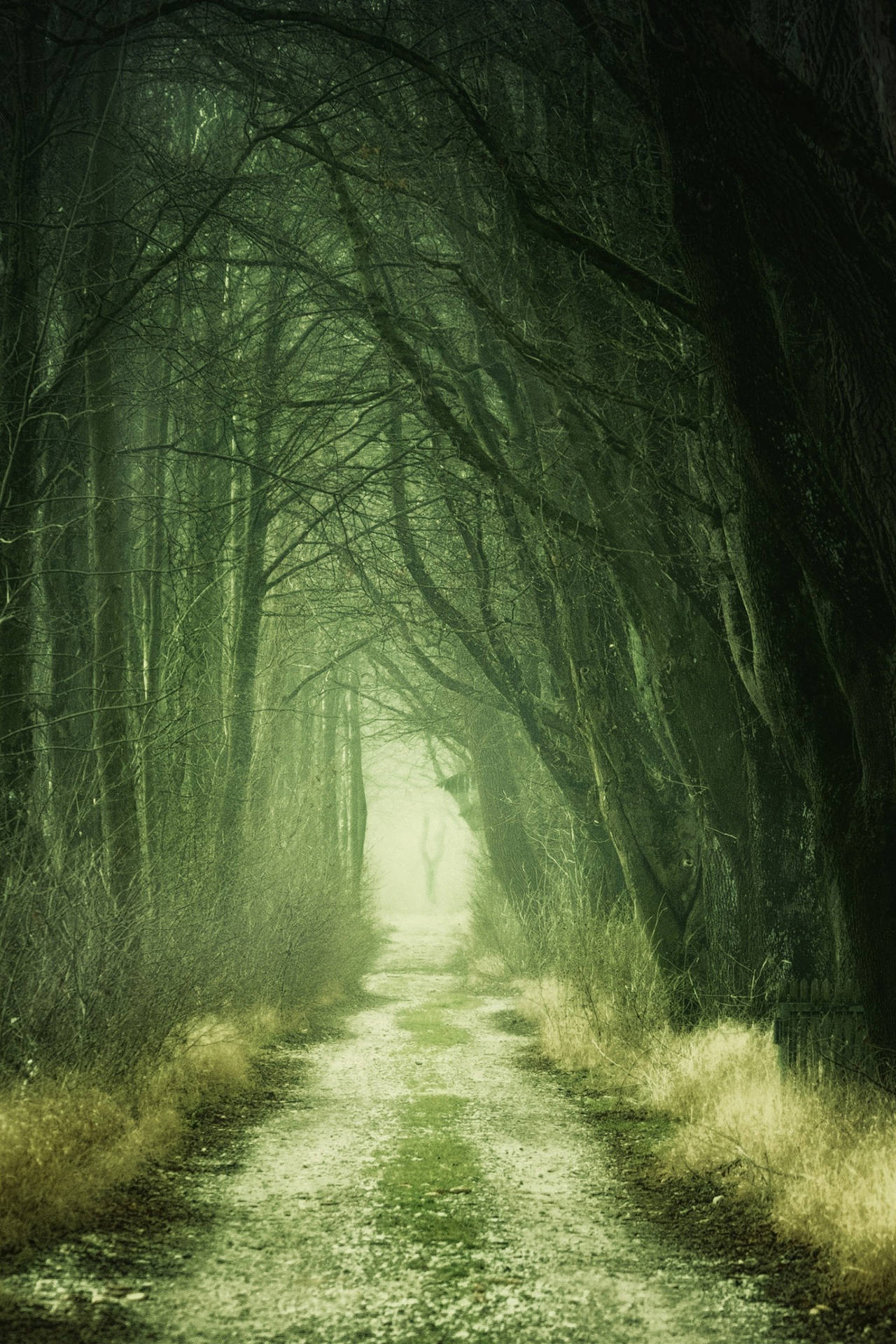 Pixel Nature Wallpaper
