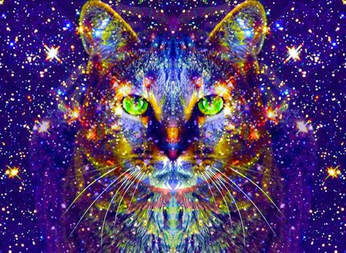 Psychedelic Cat On