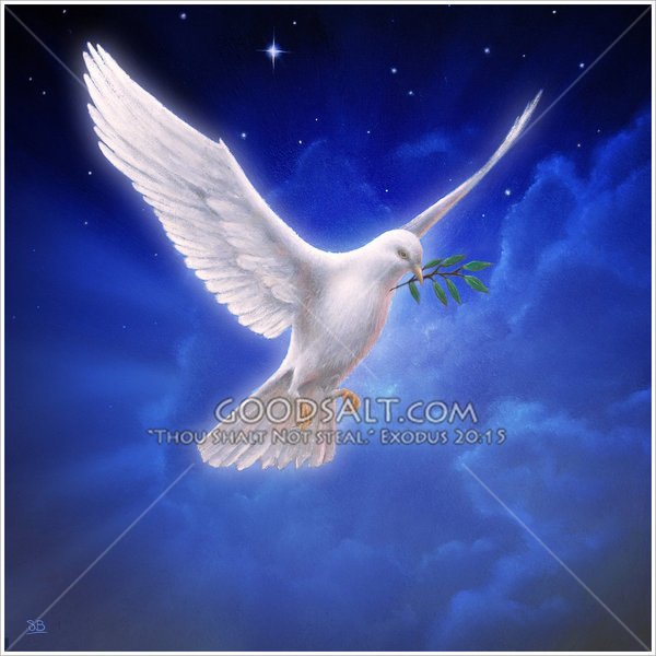 White Dove In Night Sky