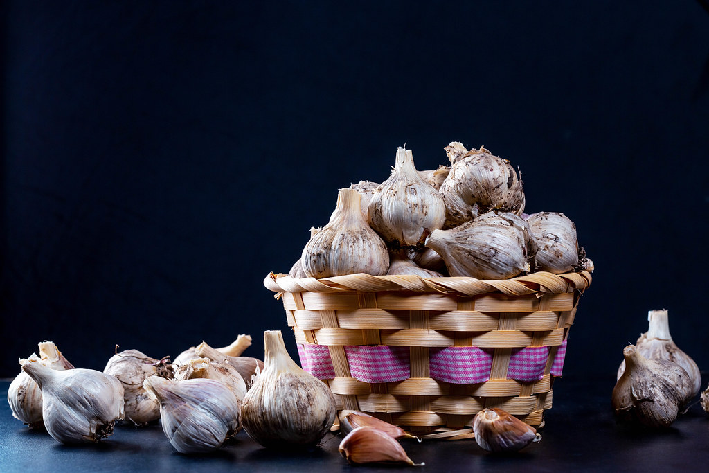 Garlic Background Image All White