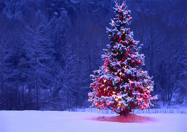 Christmas HD Wallpaper Ringtones And Apps To Deck Your Android