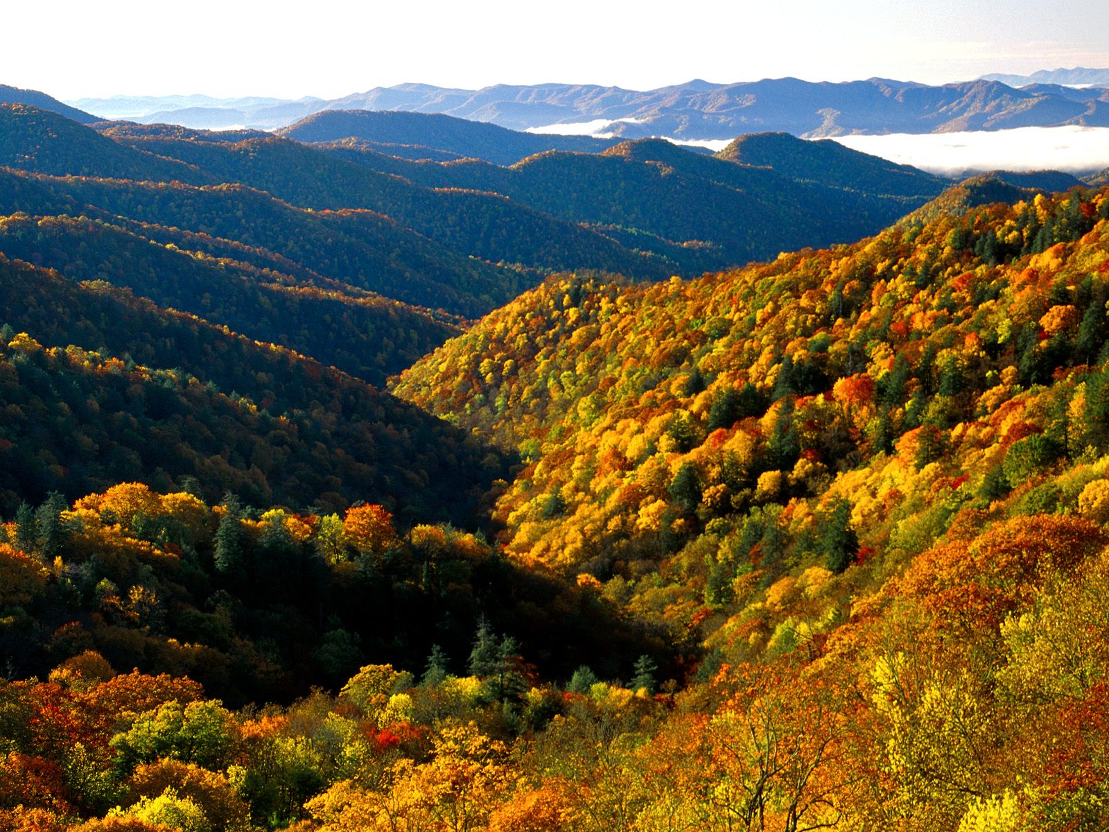 Fall Colors Wallpaper Deep Creek Valley Great Smoky