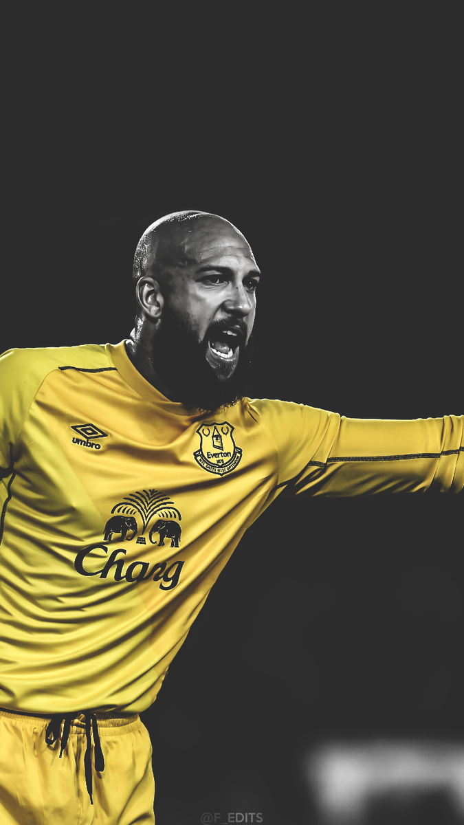Fredrik On Tim Howard Efc iPhone Wallpaper And Icon