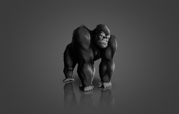 Monkey Gorilla Black Background Animal Wallpaper