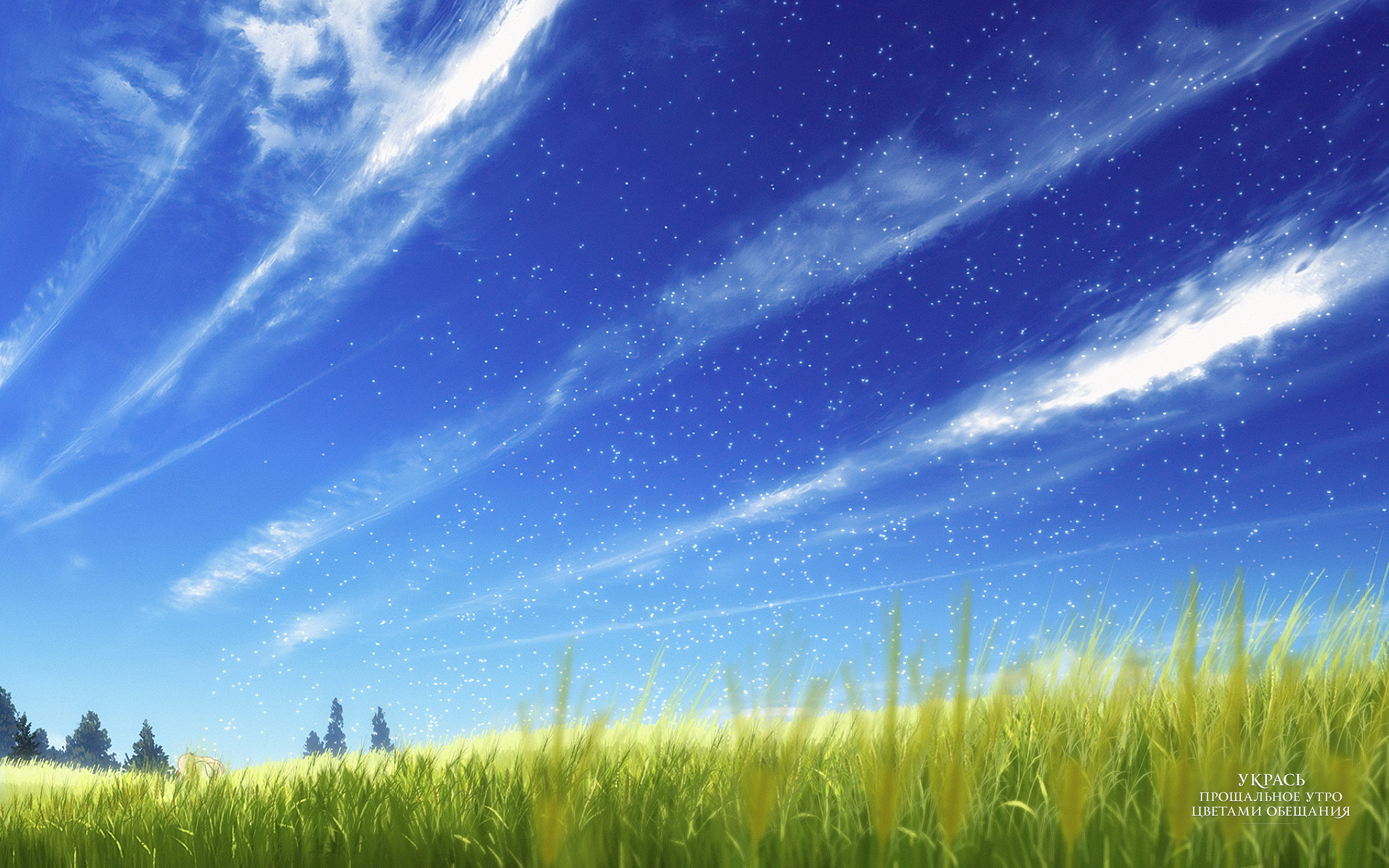 Maquia When The Promised Flower Blooms HD Wallpaper Background
