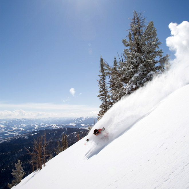 Powder Skiing Wallpaper To Ski Just Let Go