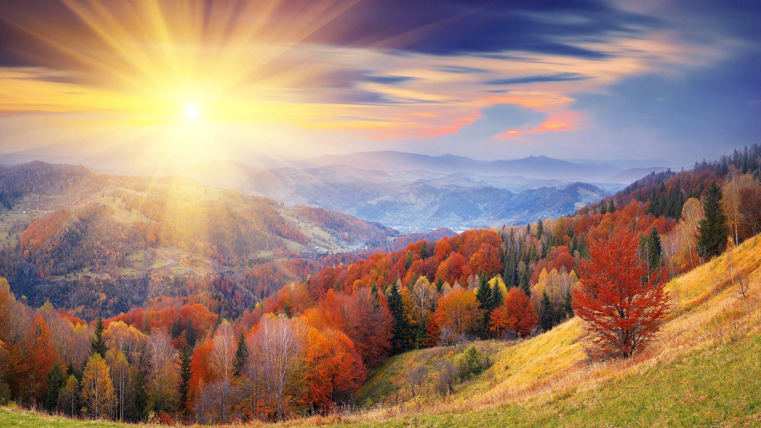 Fall Sunrise On Landscape Wallpaper