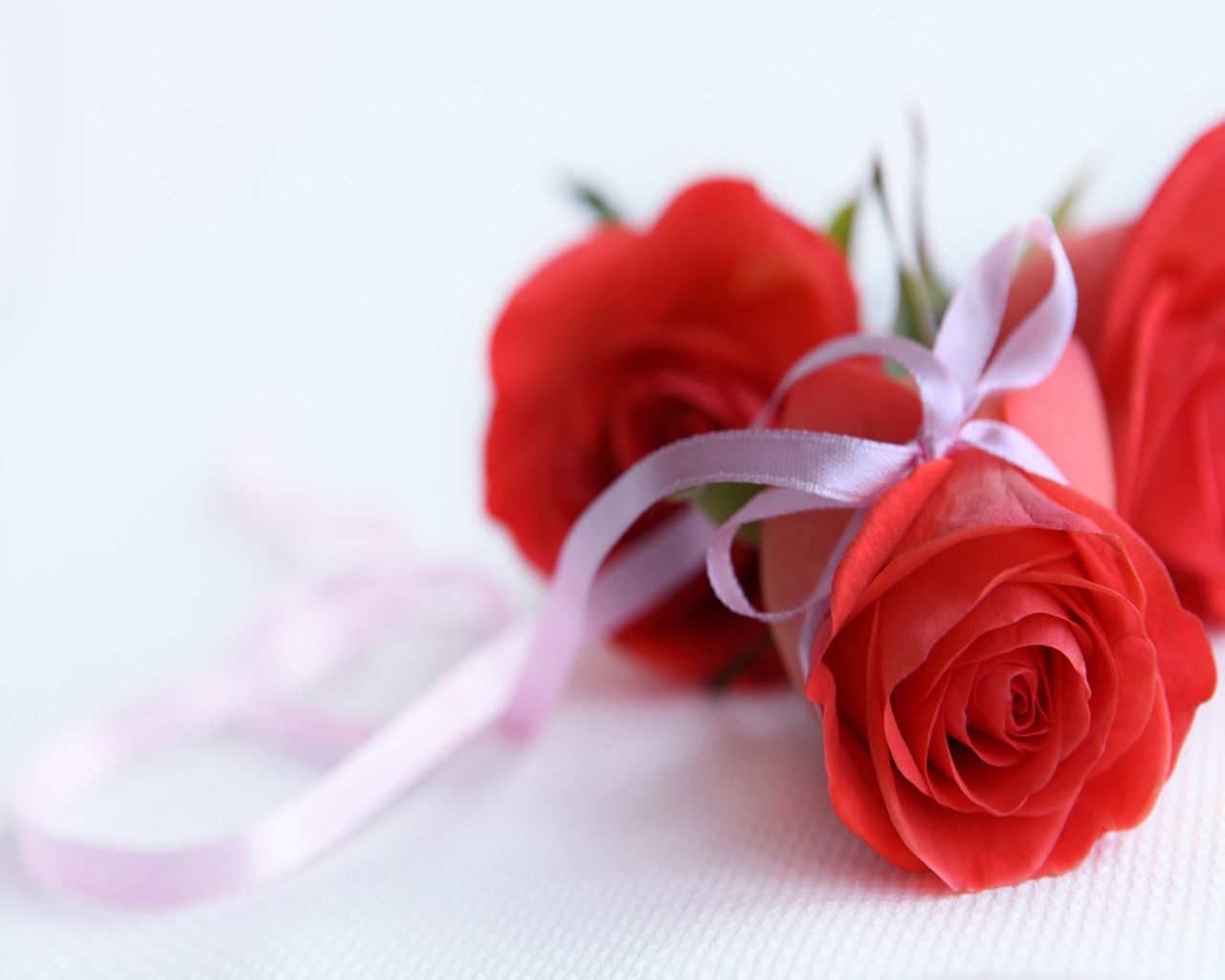 Flower Wallpaper For Desktop 3d