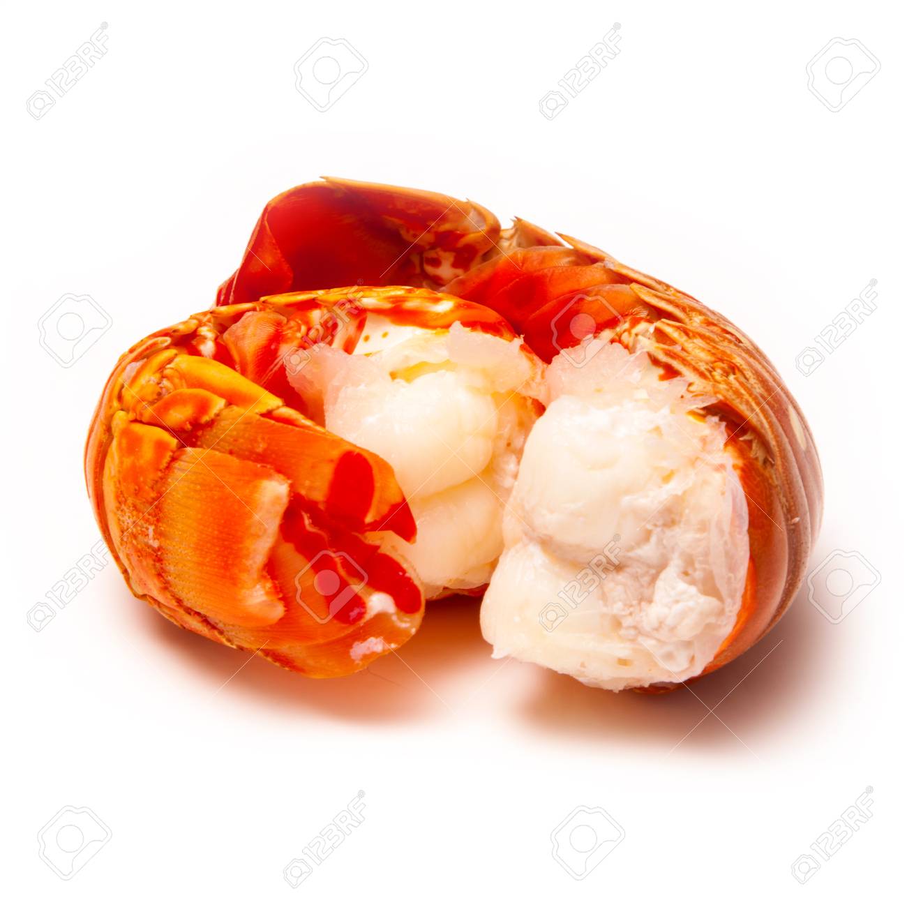 Tropical Caribbean Bahamas Lobster Panuliirus Argus Or