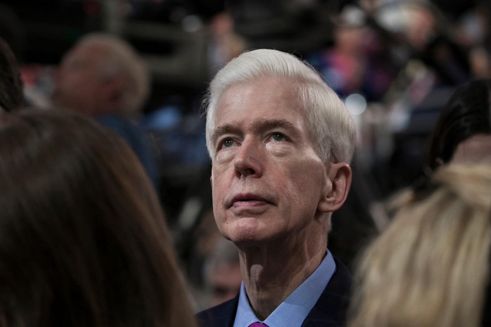 Q A With Gray Davis Wallpaper