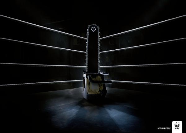 The Ring  Boxing rings Motivational wallpapers hd Hd wallpaper