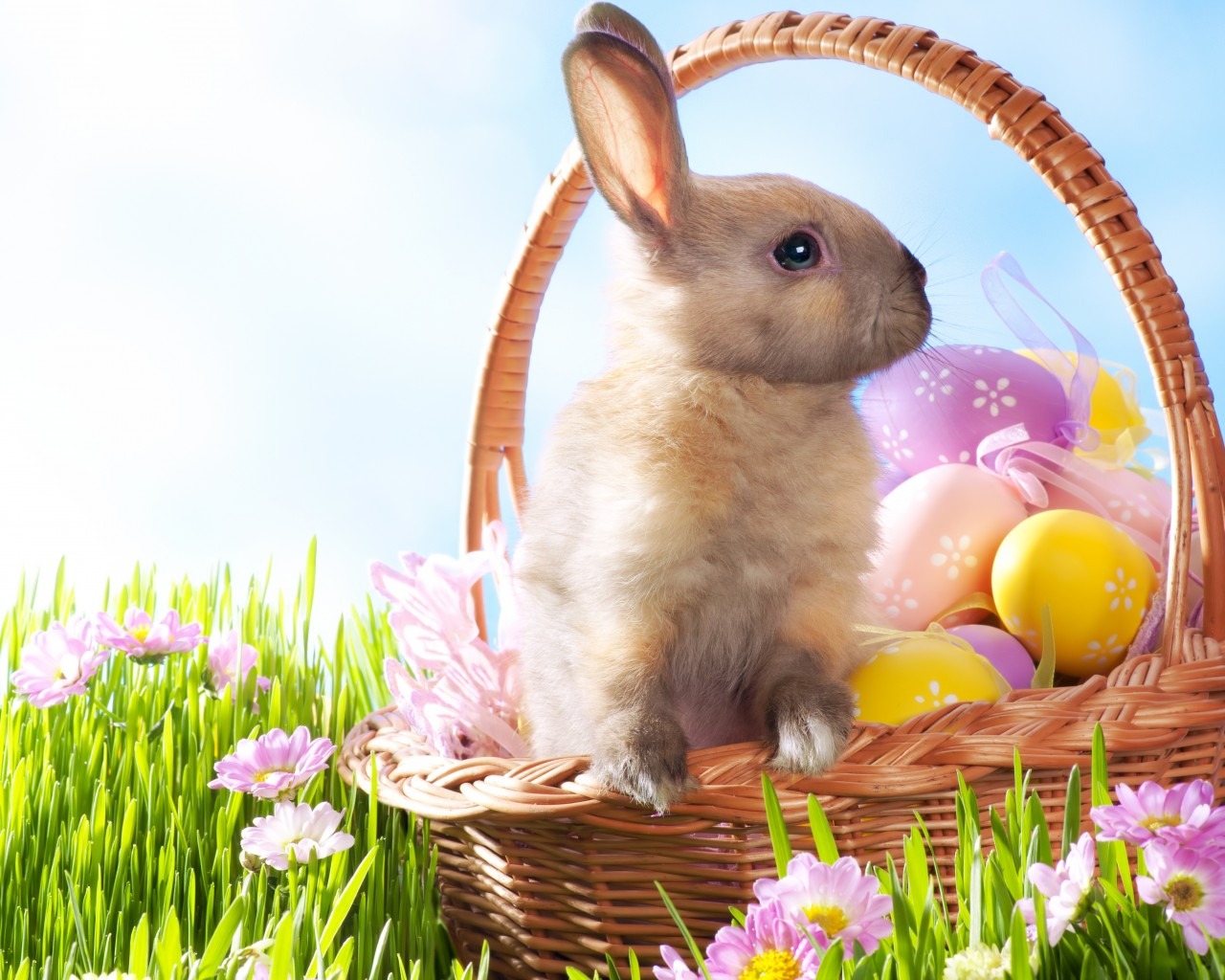 Easter Bunny Wallpaper HD Desktop Background