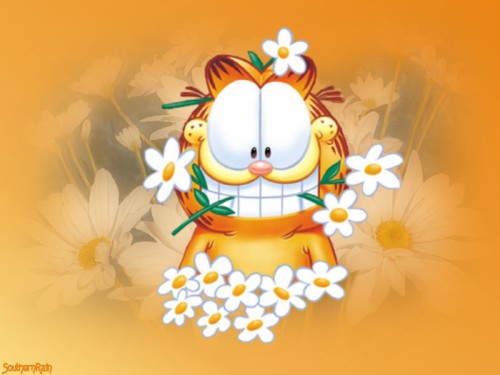 Photo Garfield Surprise Mi Background Desktop Background Album