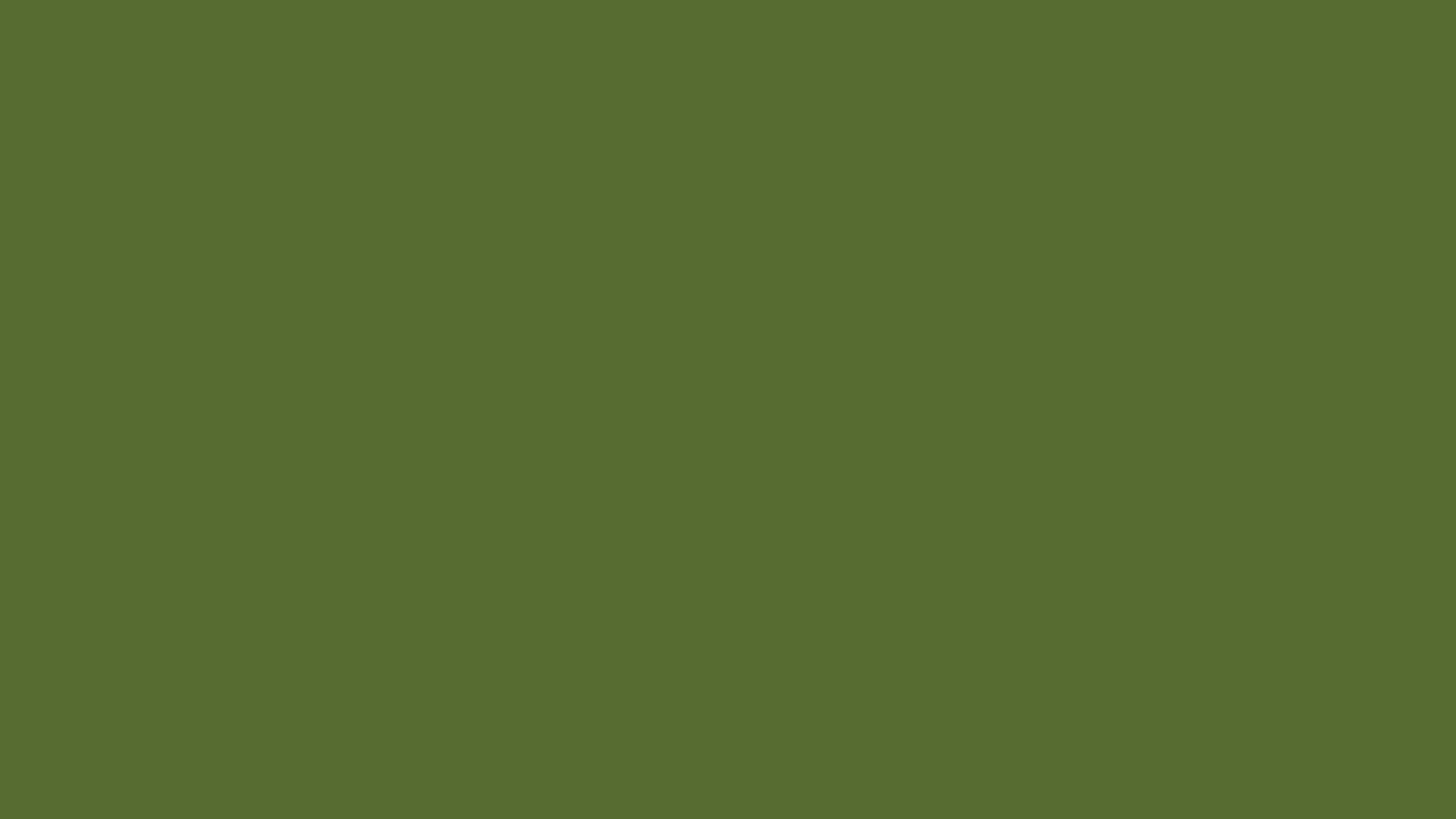 Resolution Dark Olive Green Solid Color Background And