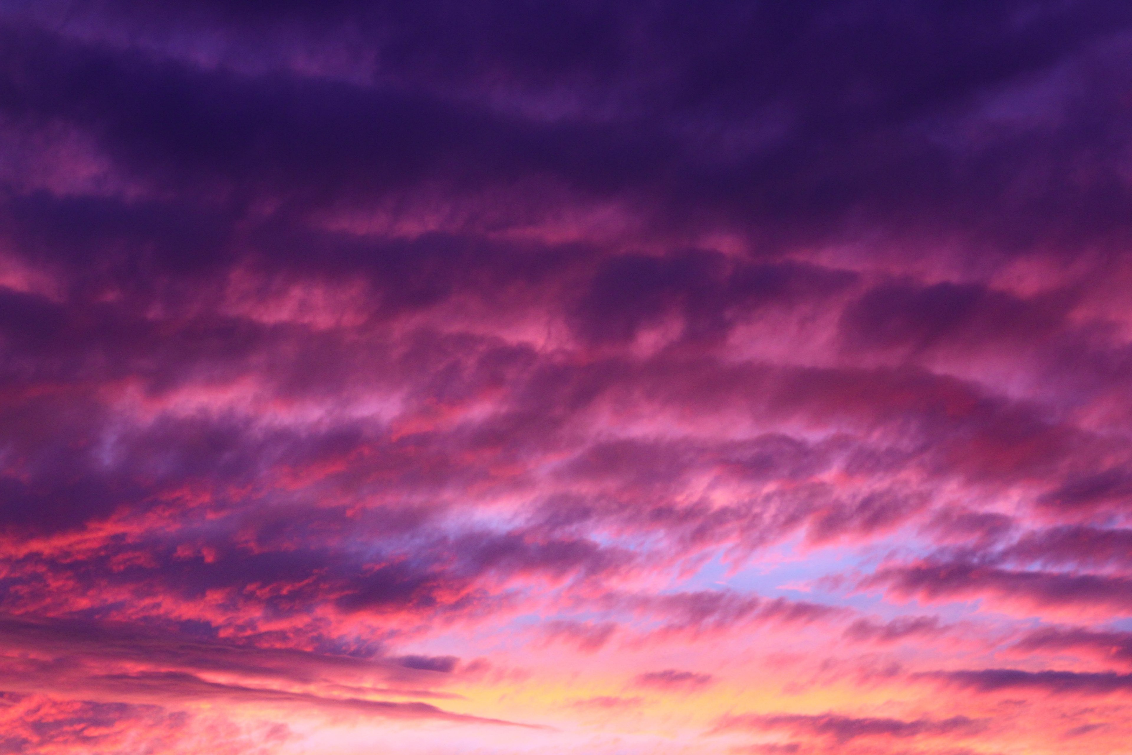 The Sunset Turns Cloudy Sky Purple And Pink At Bondi Beach 4k HD Wallpaper