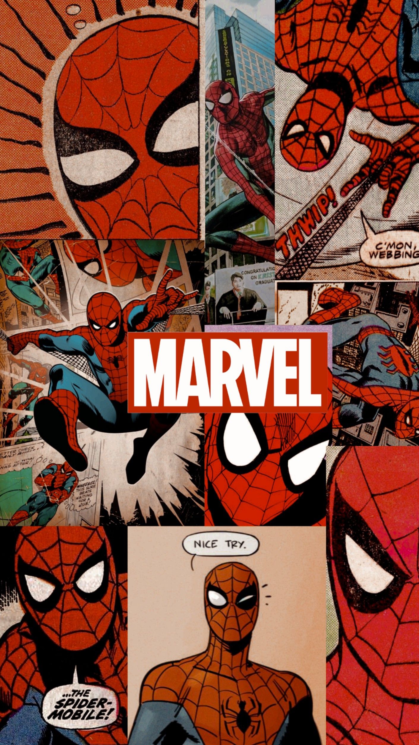 Spider Man Aesthetic Wallpaper