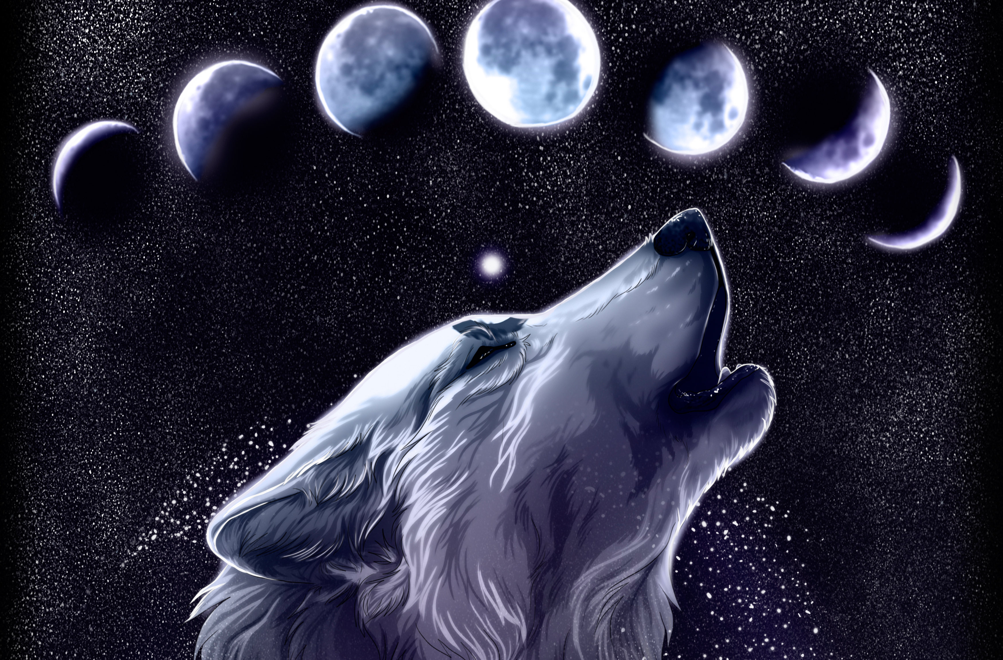 Wolf Full HD Wallpaper And Background Id