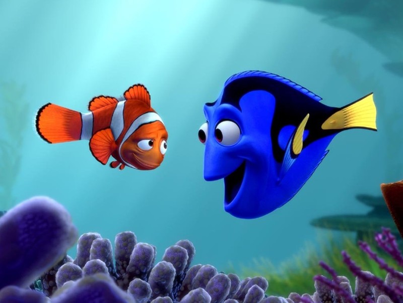 3d Cartoon Wallpaper HD Finding Nemo