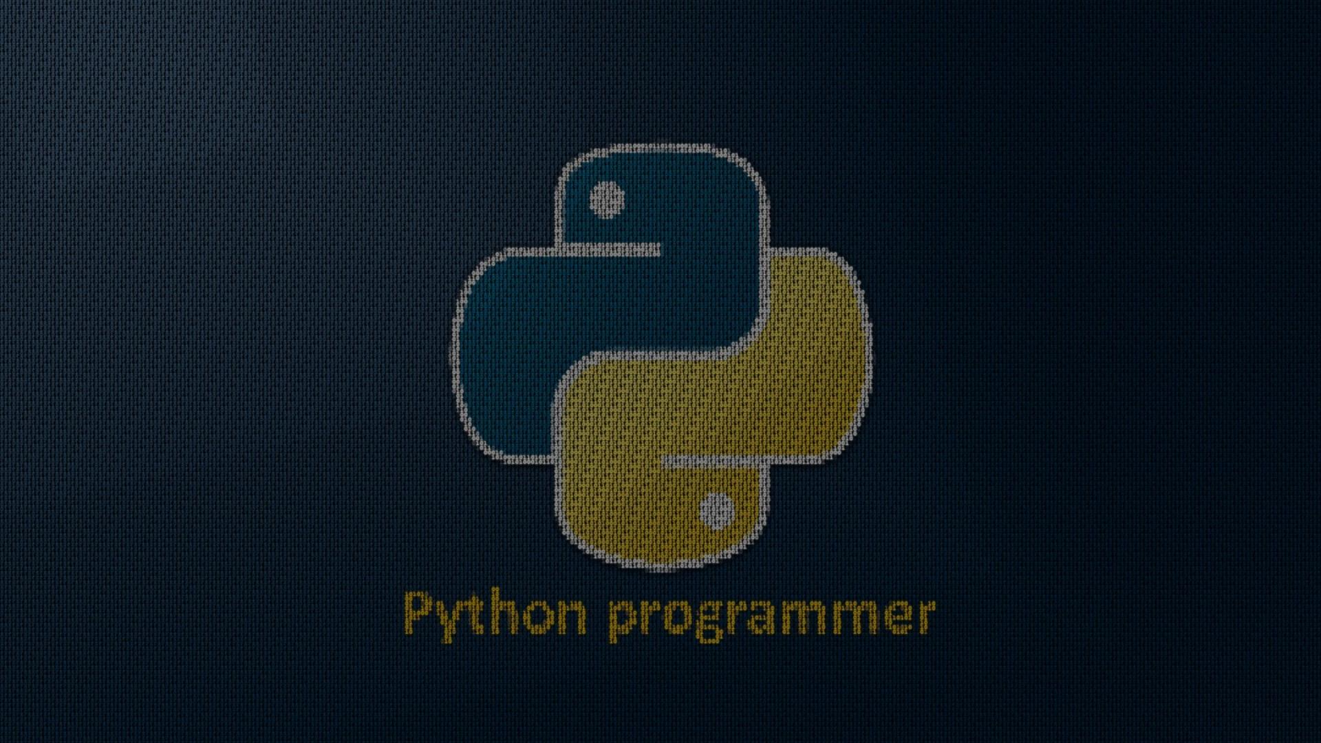 Python programmer wallpaper