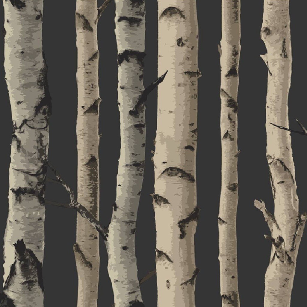  BIRCH TREE WOODS BRANCHES JUNGLE FOREST PRINT 10M WALLPAPER ROLL DECOR 1025x1023