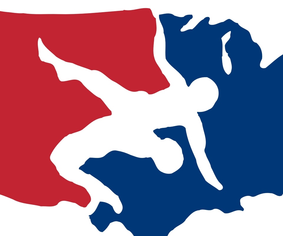 Usa Wrestling Logo