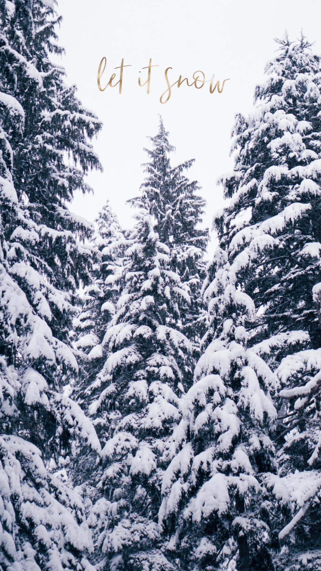 Download Cozy Winter Wonderland in the Forest Wallpaper