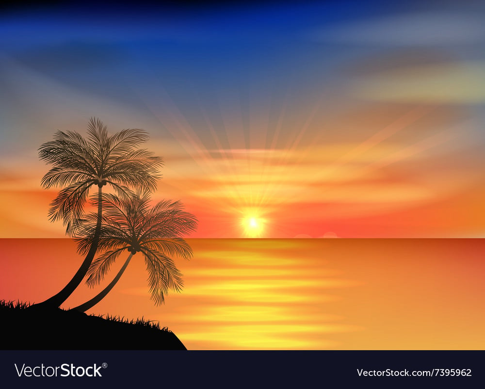 Sunset background on beach with palm tree Vector Image