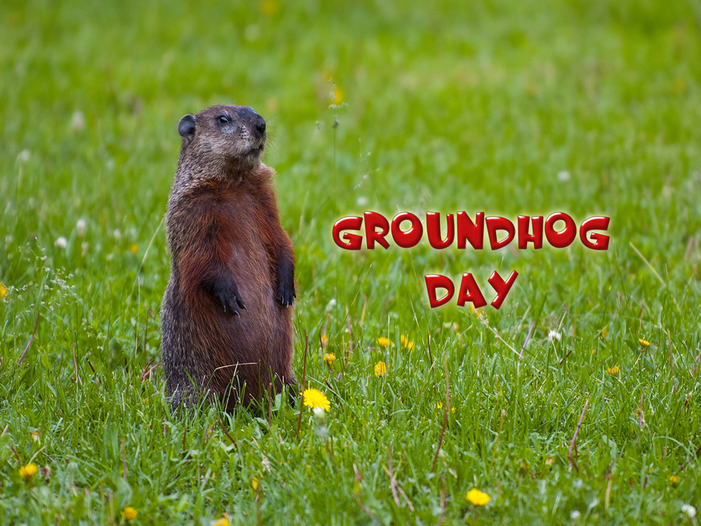 Image Groundhogs Day Desktop Wallpaper Pc Android iPhone
