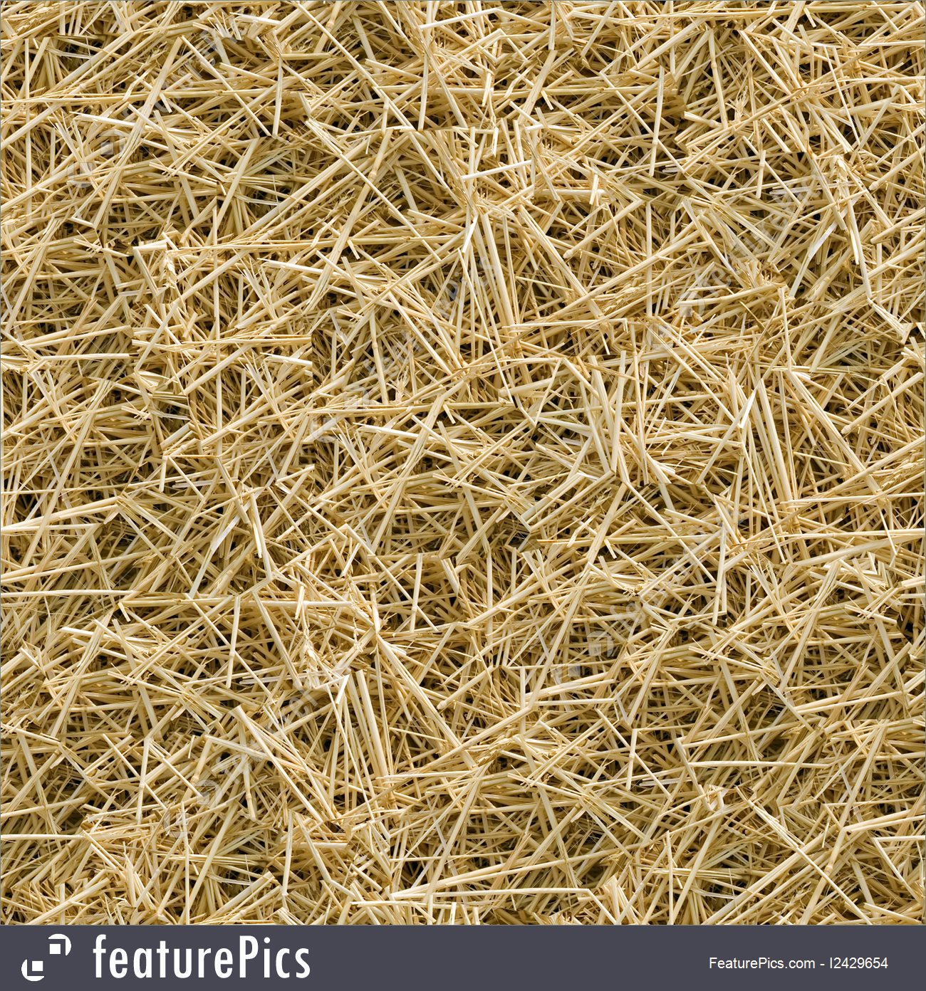 Texture Hay Seamless Background Stock Image I2429654 At