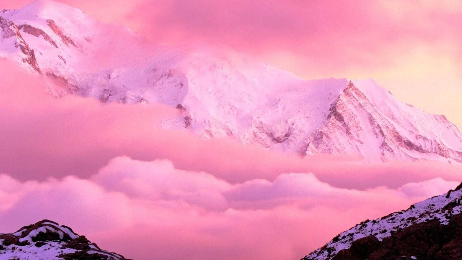 Pink Anime Aesthetic Wallpaper
