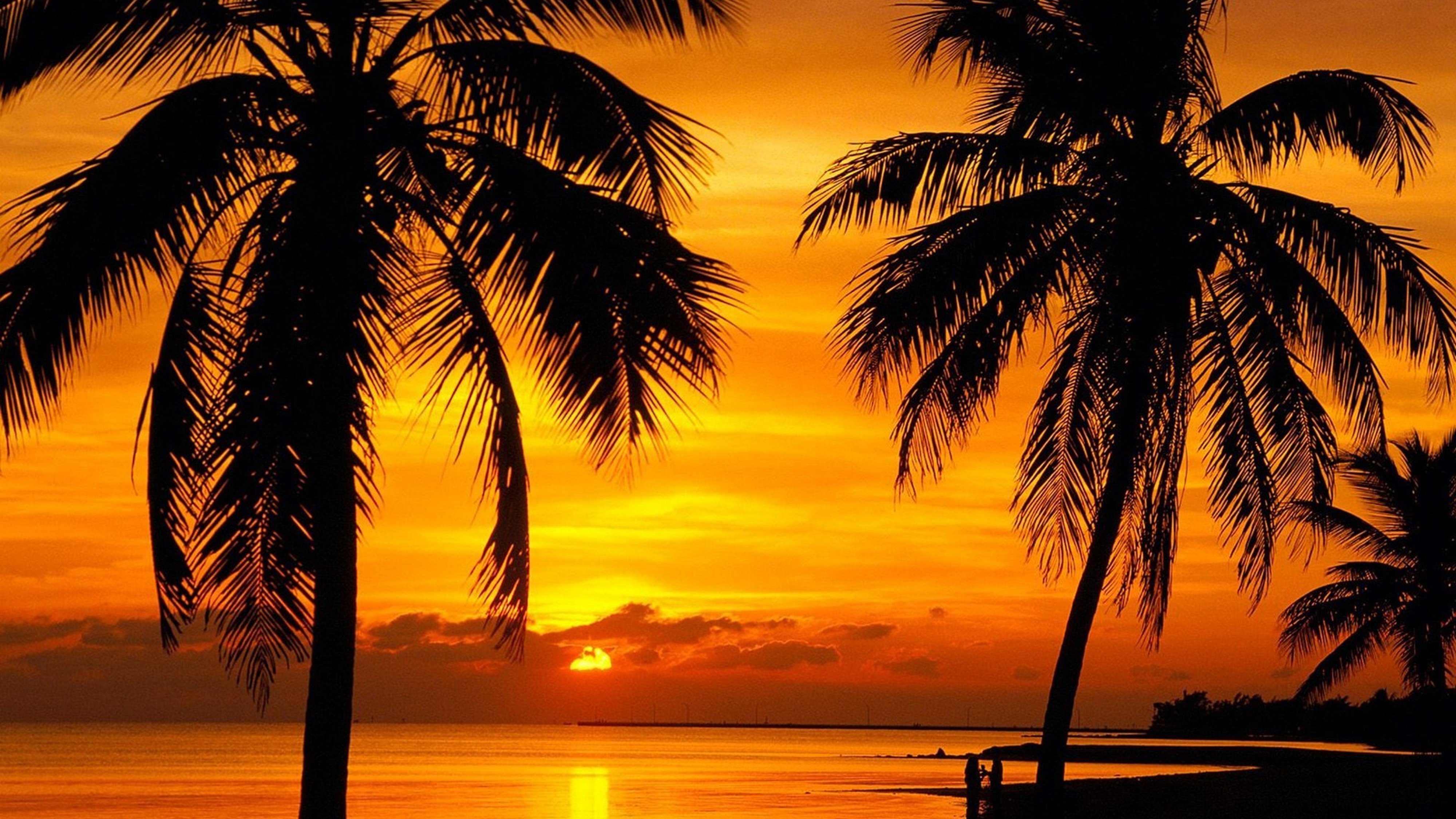 Florida Key Sunset Beach Wallpaper