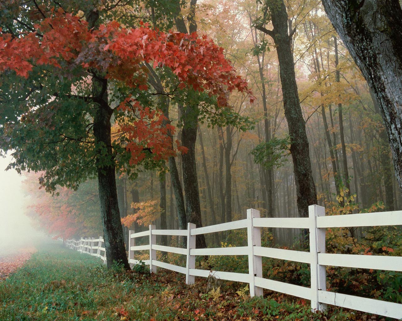 Autumn Country Photo Image