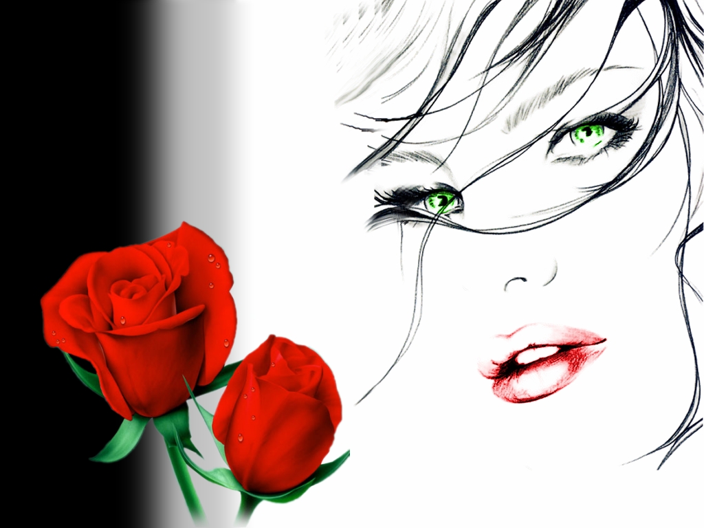 Red Rose Wallpaper Background Black And White