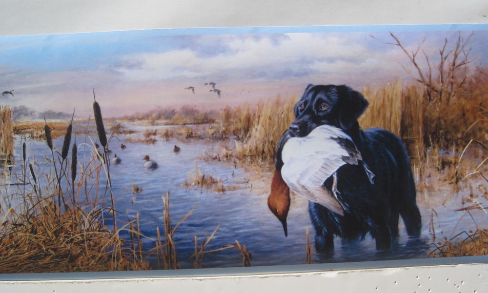 black lab duck hunting wallpaper